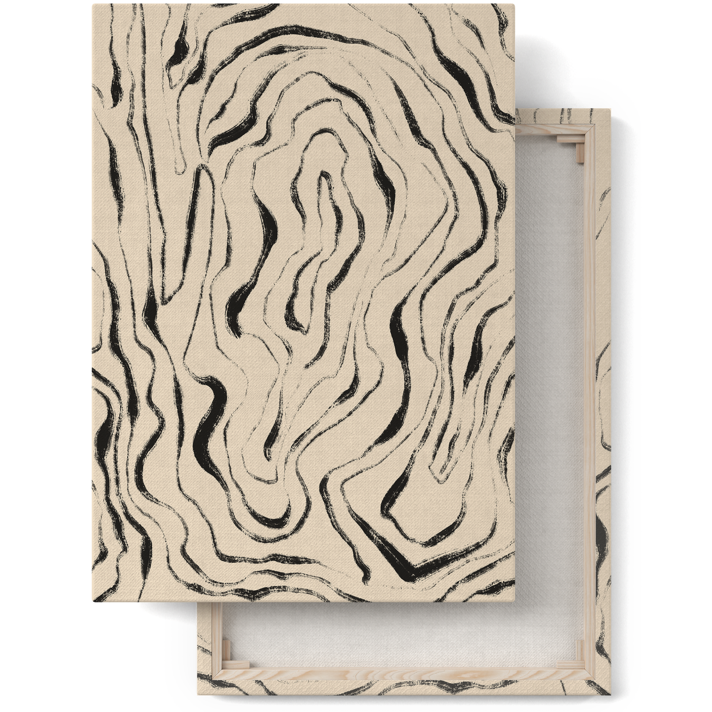 Modern Abstract Wall Art Canvas Print