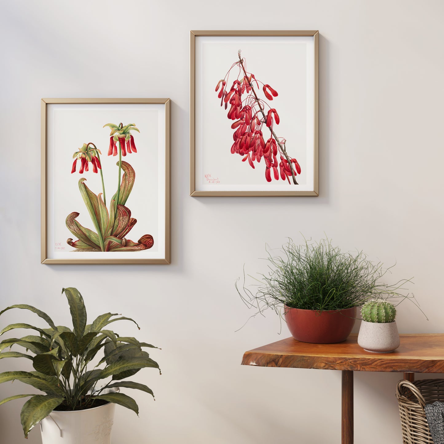 Set of 2 Mary Vaux Walcott Red Flowers Posters