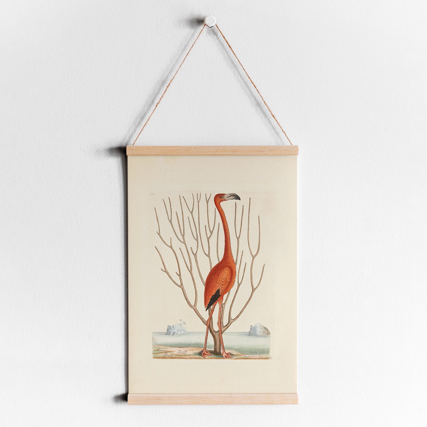 Vintage Flamingo Portrait Poster