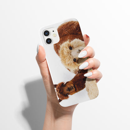 Cute Alpacas iPhone Case
