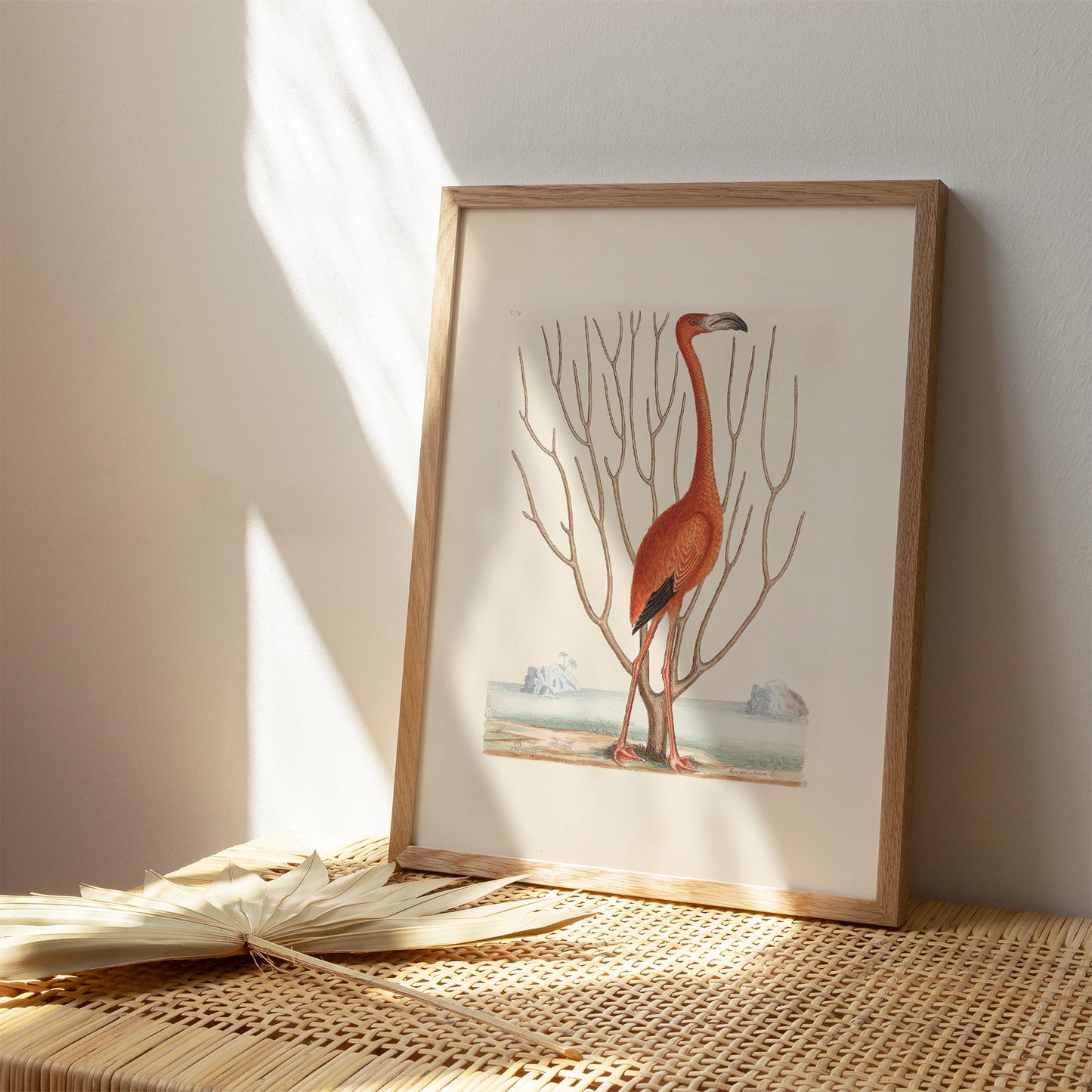 Vintage Flamingo Portrait Poster