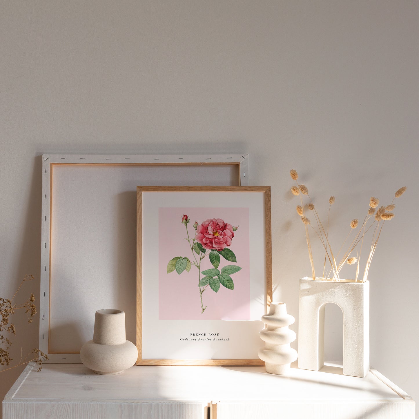 Pink French Rose Poster