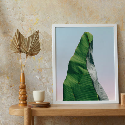 Artistic Banana Leaf Poster