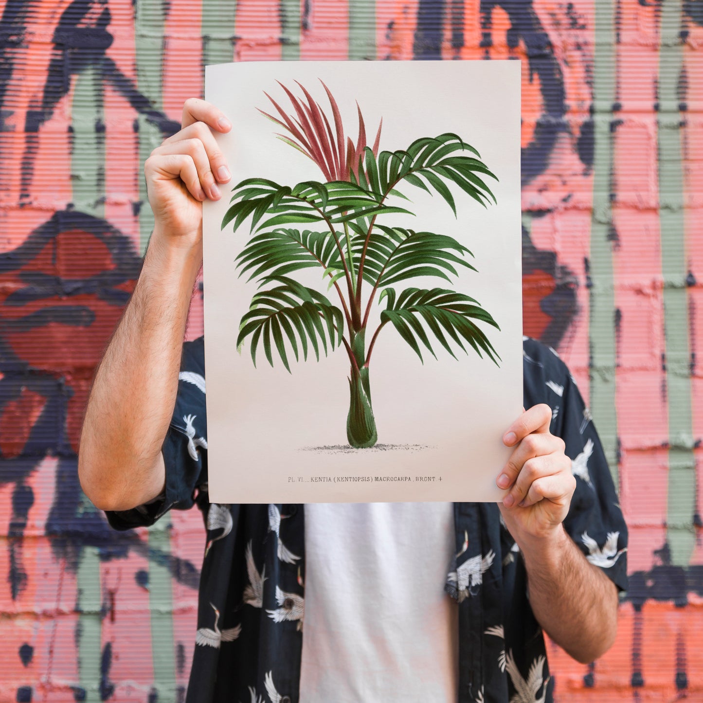 Vintage Botanical Palm Poster