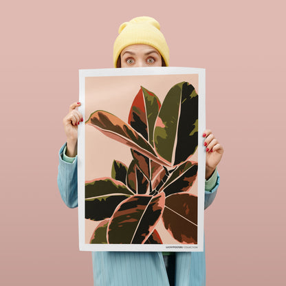 Ficus Elastica Belize Poster