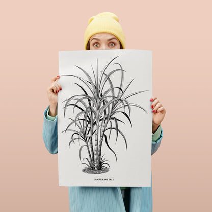 Sugar Cane Tree Retro Art Print