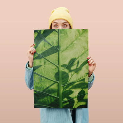 Green Colocasia Esculenta Leaf Photo Poster